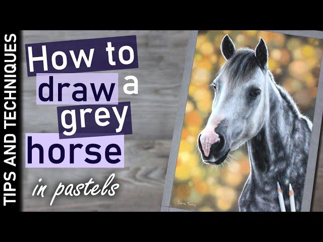 How to draw a grey dapple horse in pastels | Drawing fur/hair tips