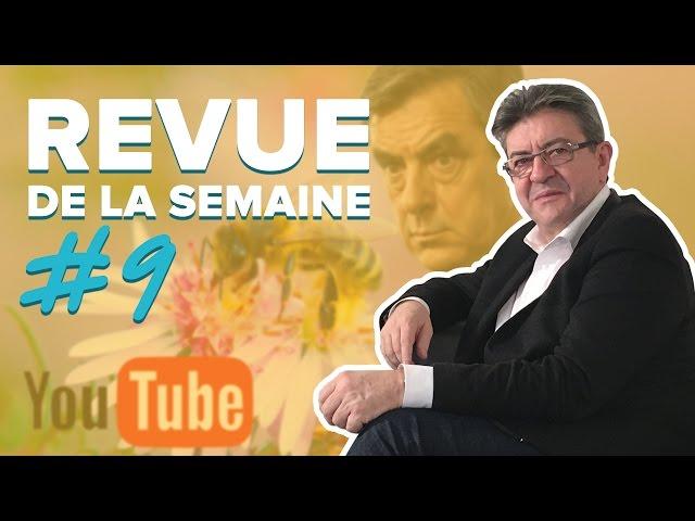 RDLS #9 - YOUTUBE, PROGRAMME, FILLON, ANIMAUX POLLINISATEURS EN DANGER