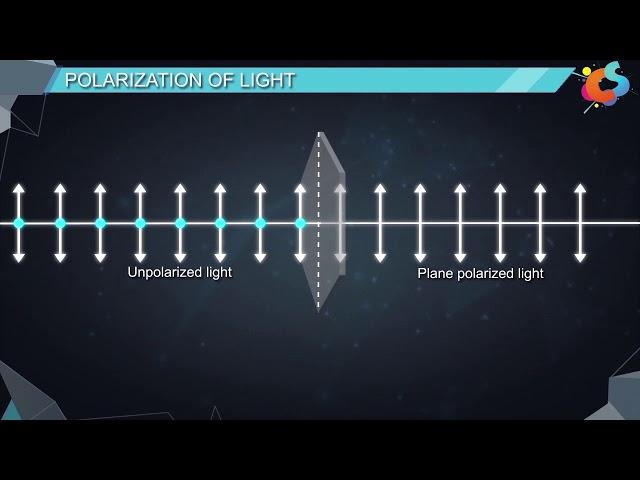 16 - Class 12 - Physics - Wave Optics -  Polarisation