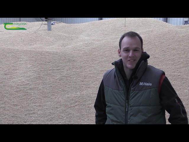 NEWBIE - David O'Donoghue