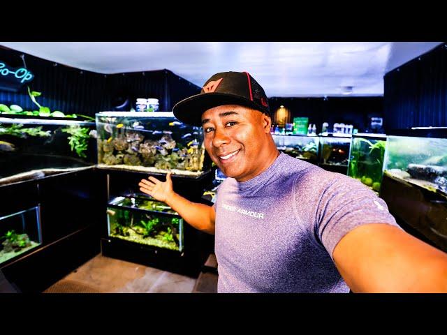 Can You INSTANT CYCLE a Fish Tank? [Viewer Questions Answered]