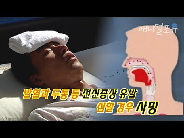 시청자 요청 평소 건강했던 한 남자가 나들이 다녀온 다음날 갑자기 쇼크로 실신한 이유?? l KBS 위기탈출 넘버원 060923 방송