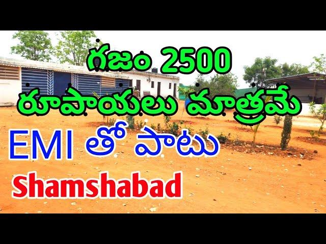 2500 per sq yard near Shamshabad |గజం కేవలం 2,500 రూపాయలు మాత్రమే శంషాబాద్ దగ్గర |open plot for sale