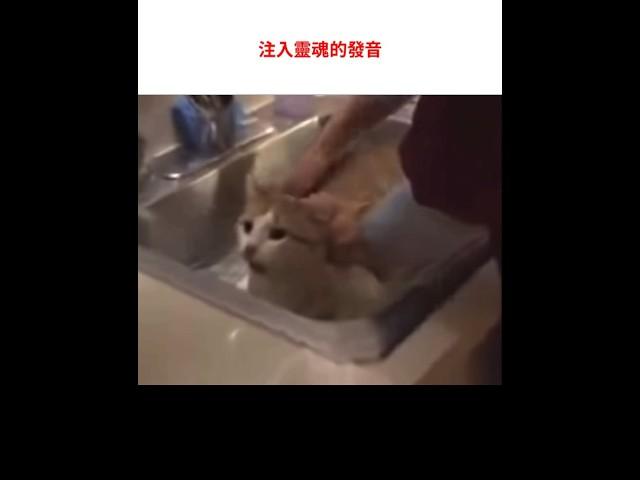 注入靈魂的巧克力