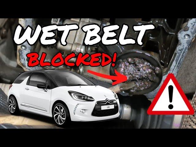 Wet Belt Replacement. The worst one I've seen! 2017 Citroen DS3 1.2 Petrol