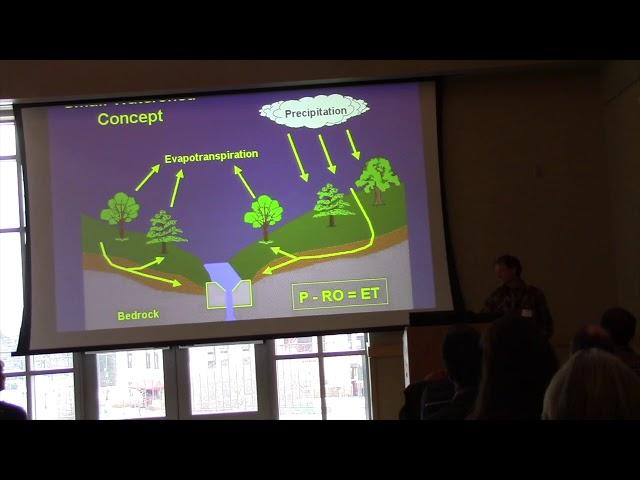 Tracking trajectories and sensitivities in forest water use