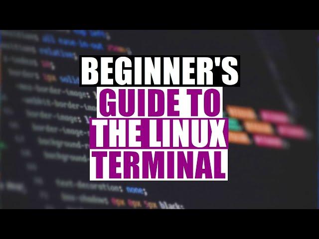 Beginner's Guide To The Linux Terminal