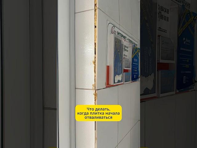 Что делать, когда плитка начала отваливаться. Ремонт на скорую руку #ремонт