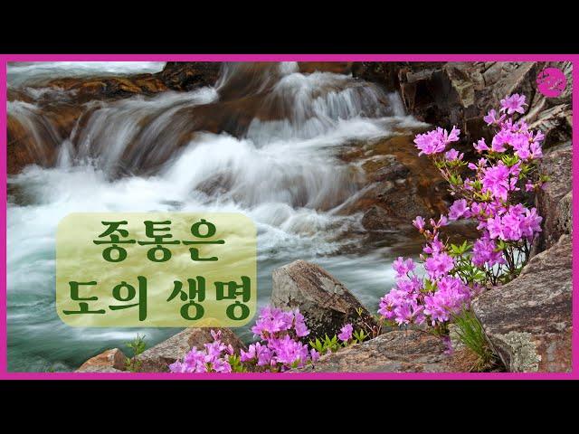 도전님 훈시 | 종통은 도의 생명 | 대순진리회 여주본부도장