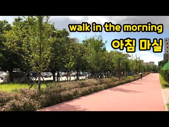 Walk together in the morning in Busan, Korea / 아침 마실 가요