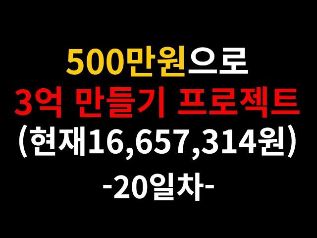 500만원으로 3억 만들기 중장기 프로젝트 20일차(743,805수익)