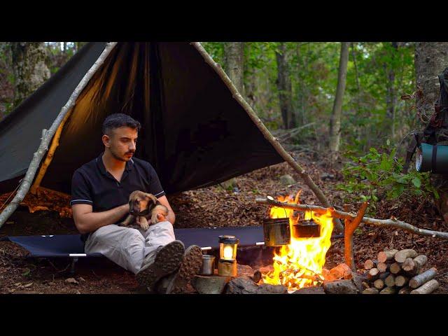 Bushcraft Camp In The Mountaıns Wıth My Wolf DOG - Asmr