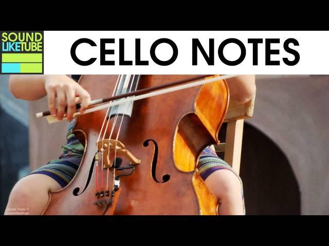 14 Real Cello Note Sound Samples [Free & High Quality]