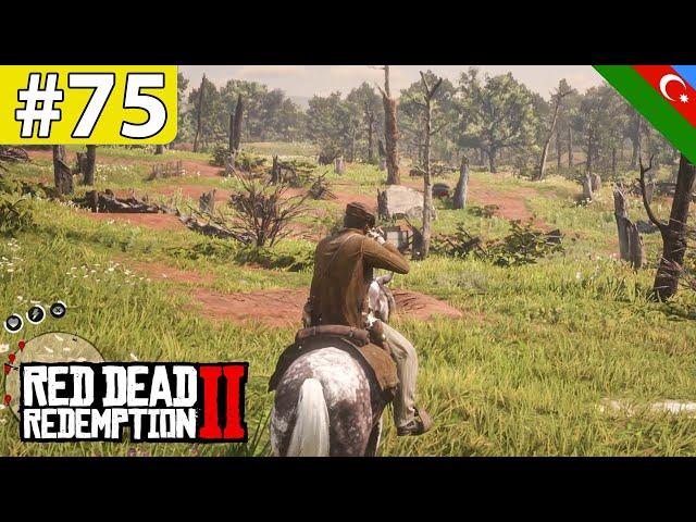 FƏRQLİ HEYVAN OVLARI, CİNAYƏTKARLAR PULUMUZU OĞURLADILAR - RED DEAD REDEMPTİON 2 | 75.BÖLÜM