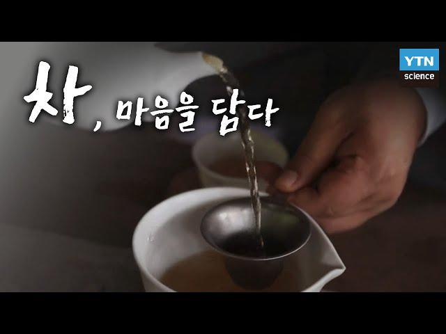 차, 마음을 담다 / YTN 사이언스