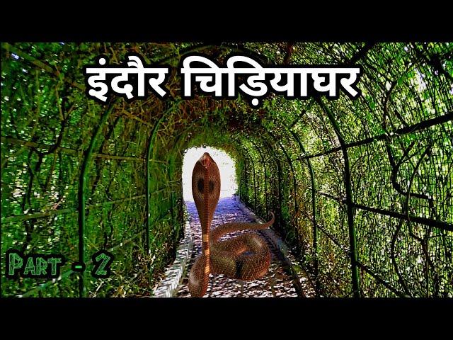 Indore Zoo | Snake House Indore Zoo | इंदौर चिड़ियाघर | Part - 2 | Indore Madhya Pradesh