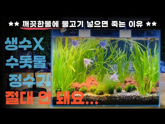 제발 맹물에 물고기 넣지마세요. 바르르 떨다가 결국 죽습니다.(특히 구피 테트라 금붕어)