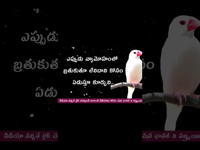 నాకే ఎందుకు ఇలా జరుగుతుంది