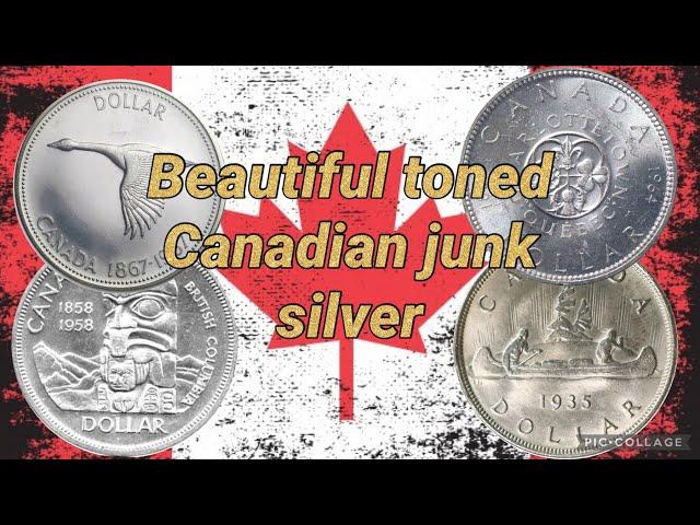 Beautiful toned Canadian Junk silver   from my buddy MikeGPO