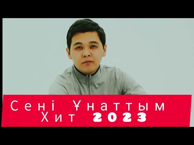 Ержан Қайратұлы - Сені Ұнаттым ( Official Audio ) 2023 | ТИКТОК ХИТ