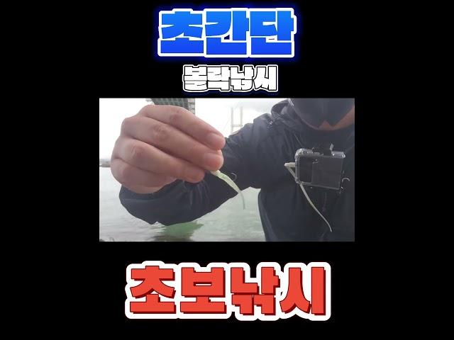 초보도 쉽게 따라하는 초간단 볼락낚시  #낚시 #바다 #바다 #볼락 #fishing