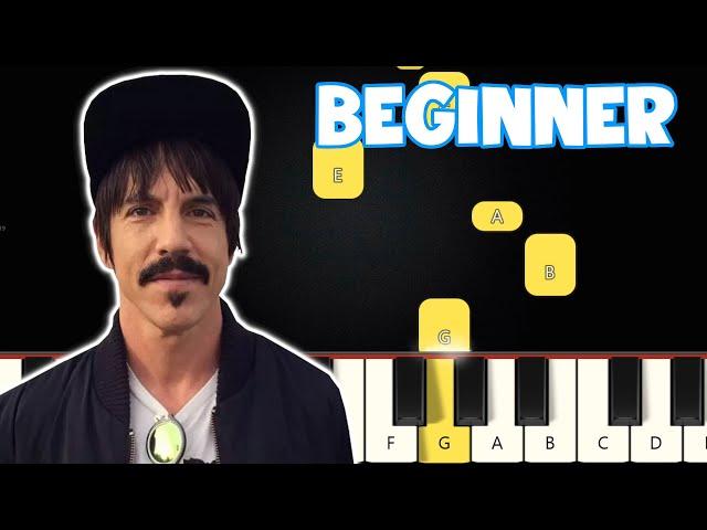 Otherside - Red Hot Chili Peppers | Beginner Piano Tutorial | Easy Piano