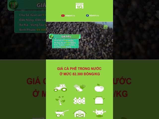 Giá cà phê trong nước tiếp tục tăng | VTC16