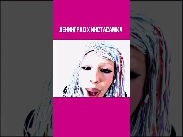 Инстасамка пытается спасти группу Ленинград из Джессики эсс #инстасамка