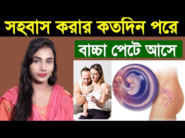 সহবাসের কতদিন পর বাচ্চা পেটে আসে ?