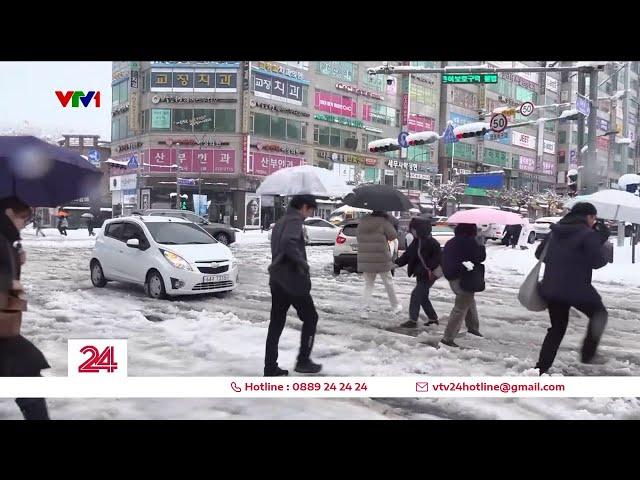 Người dân Seoul, Hàn Quốc đối phó với mùa đông khắc nghiệt | VTV24