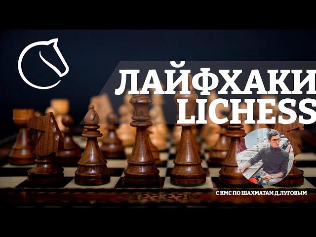 Как учиться играть в шахматы на платформе lichess: возможности, о которых многие не знают