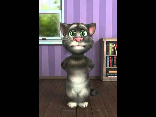 Talking Tom: fuck you idiot