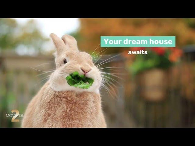 Hop Into Your new Home with TwoMoveYou, Brighton, Ontario Real Estate