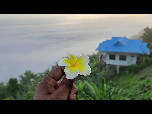 Best View Bandarban | Nilachal Nilambori Resort