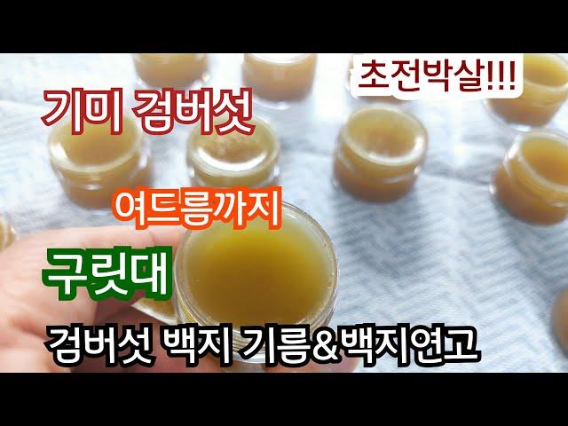 검버섯 기미 여드름엔/구릿대.백지기름&백지연고/기미연고 검버섯연고 만드는법&바르는법1편