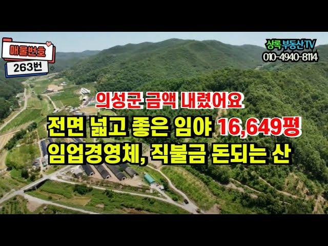 263번 금액다운)임업직불금 가능하고, 임업경영 허가요건 갖춘 동네뒷산  #부동산 #임야 #경북땅