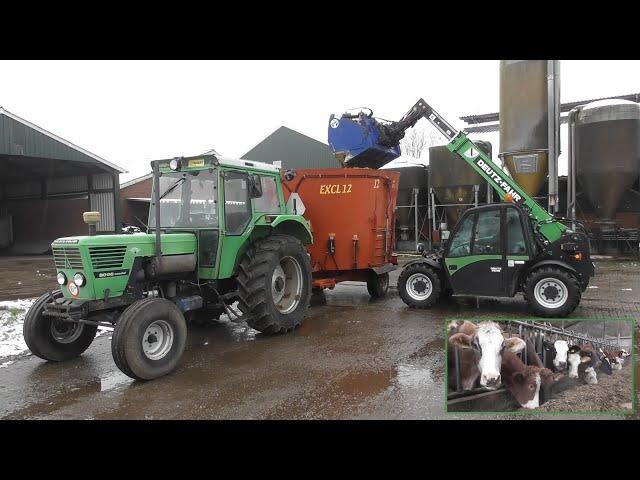 Feeding cattle with Deutz-Fahr