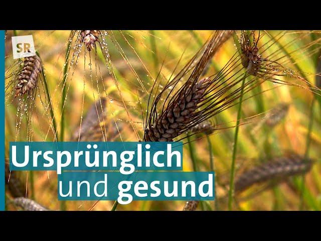 Emmer, Einkorn und Dinkel - gesundes Backen mit alten Getreidesorten