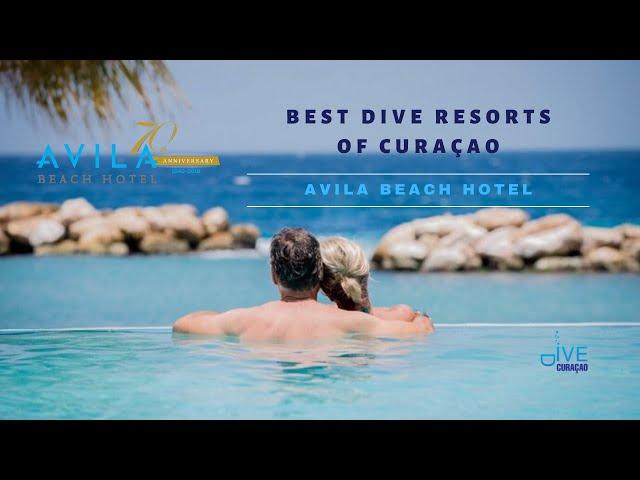 BEST Dive Resorts Curacao | Avila Beach Hotel Curaçao | Dive Travel Vlog