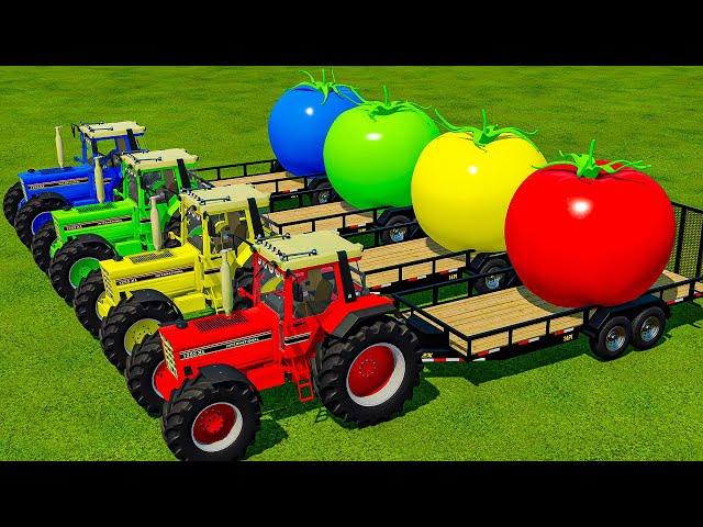 TRANSPORT GIANT TOMATOES WITH CASE TRACTORS - Farming Simulator 22