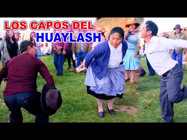 ️LOS CAPOS DEL CANIPACO  - HUAYLASH MACHO // Los nuevos pasos prohibidos de HUAYLASH ANTIGUO