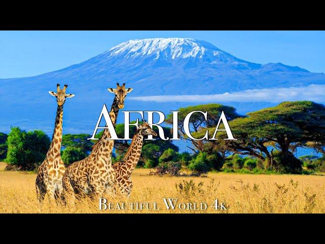 Africa 4K Scenic Wildlife Film - Beautiful Piano Music - Travel Nature