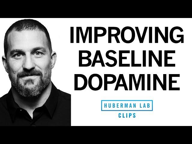 Improve Your Baseline Dopamine for Motivation & Drive | Dr. Andrew Huberman