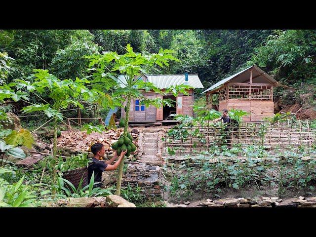 Care for and harvest vegetables in the garden. Build dikes to prevent rain and landslides.