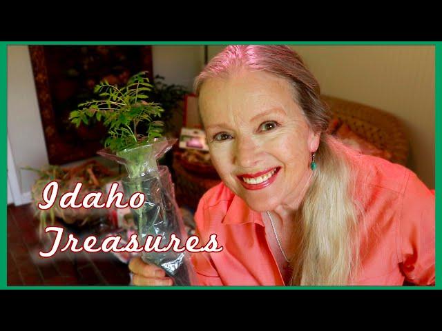 My Idaho Haul | Modern Homesteading Conference