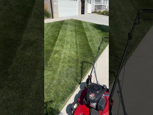 Mower Find! #lawn #garden #deal #killerdeal #grass #greenthumb #lawncare #lawnandgarden #diy