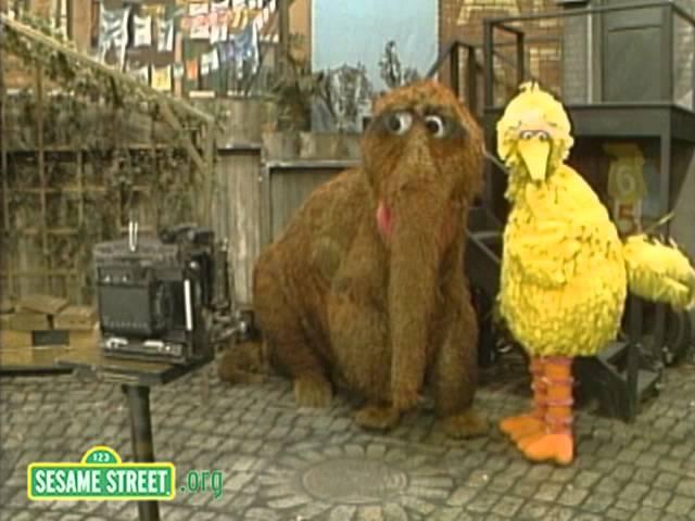 Sesame Street: Big Bird and Snuffy Get the Picture