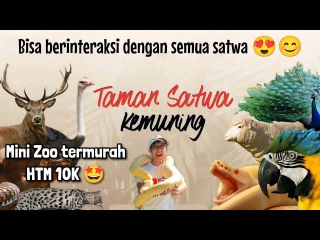 Wisata terbaru di Solo - TAMAN SATWA KEMUNING - Mini Zoo termurah di Jawa Tengah!