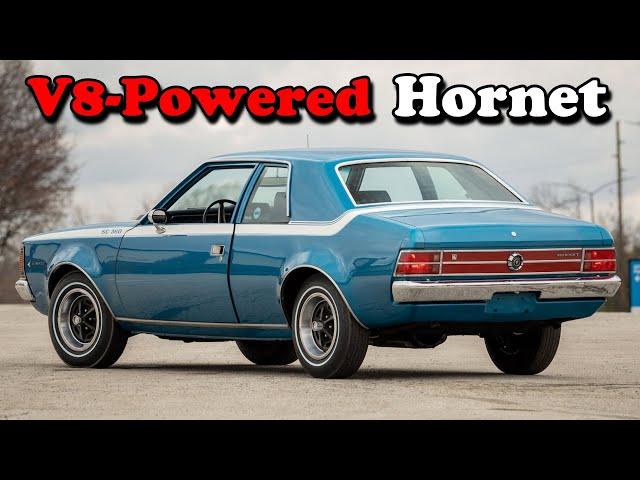 American Motors' V8-Powered Economy Car: The Hornet SC/360