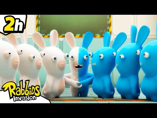 Blue Rabbid: Pride in being different | RABBIDS INVASION | New compilation | Kids Cartoon